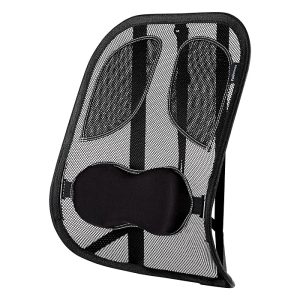 Fellowes FEL 8029901 (MESH BACK SUPPORT – PROFESSIONAL SERIES)